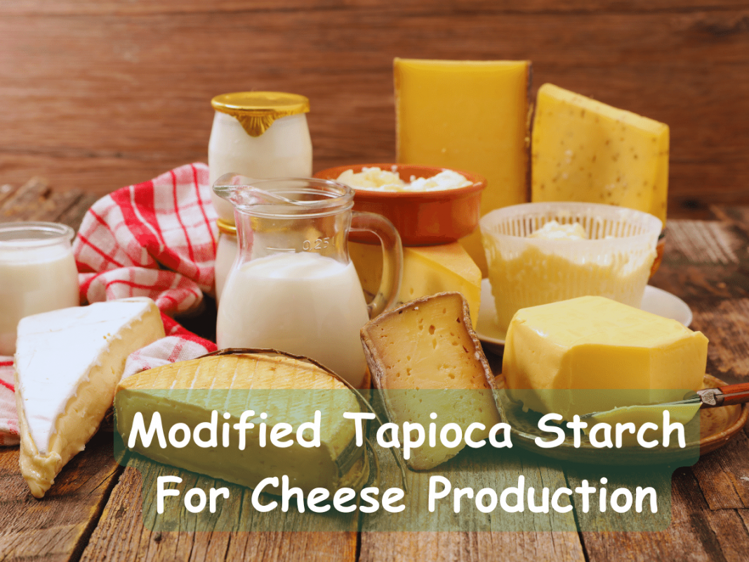 Modified Tapioca Starch For Cheese Production
