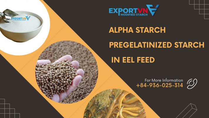 Alpha Pregelatinized Starch in eel feed