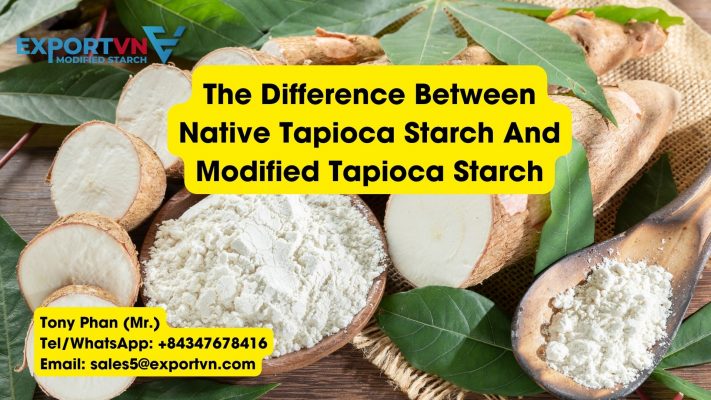 The Difference Between Native Tapioca Starch And Modified Tapioca Starch
