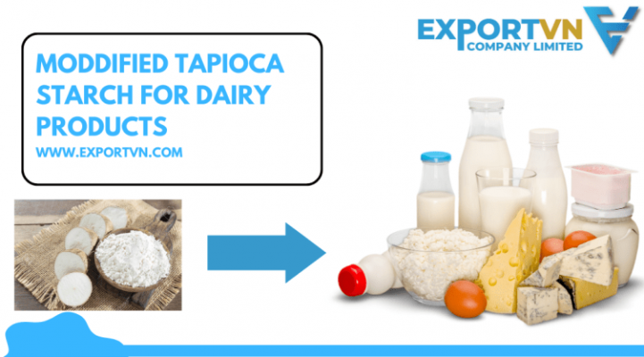 Which type of Modified Tapioca Starch should be used in Dairy Products?